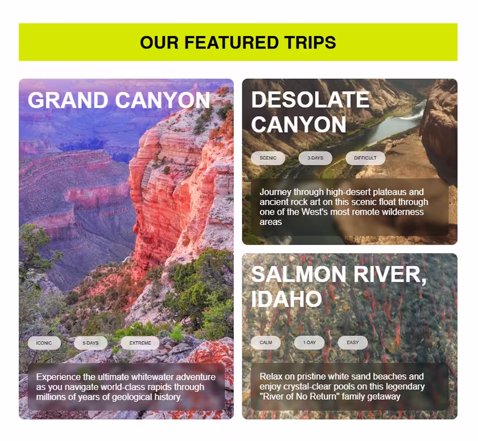 Bento grid design showcasing different trips offered by Dryoar